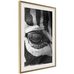 Arkiio Affisch Zebra Eye [Poster] 30x45 Poster